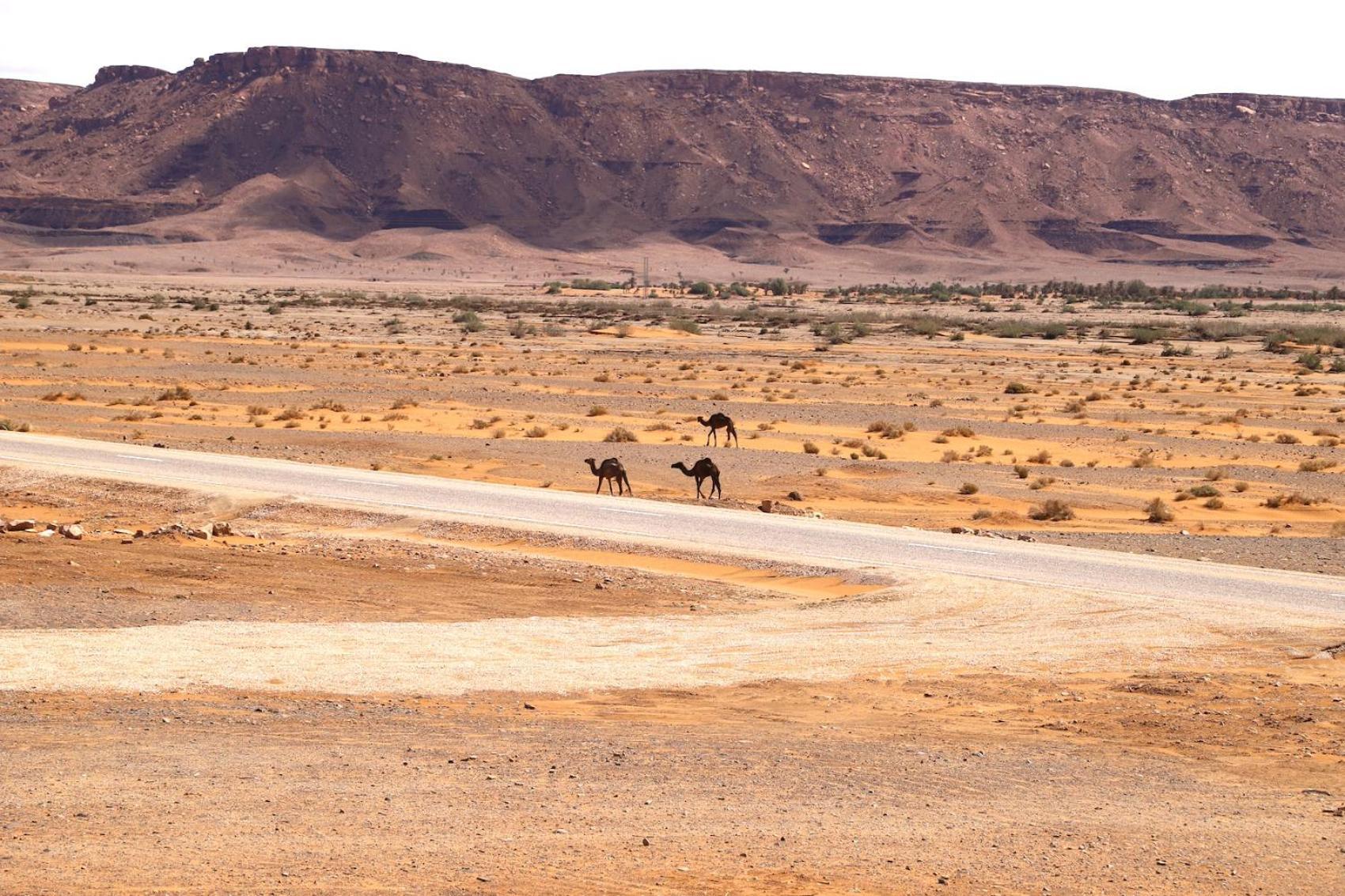Porte De Sahara Ouzina エクステリア 写真