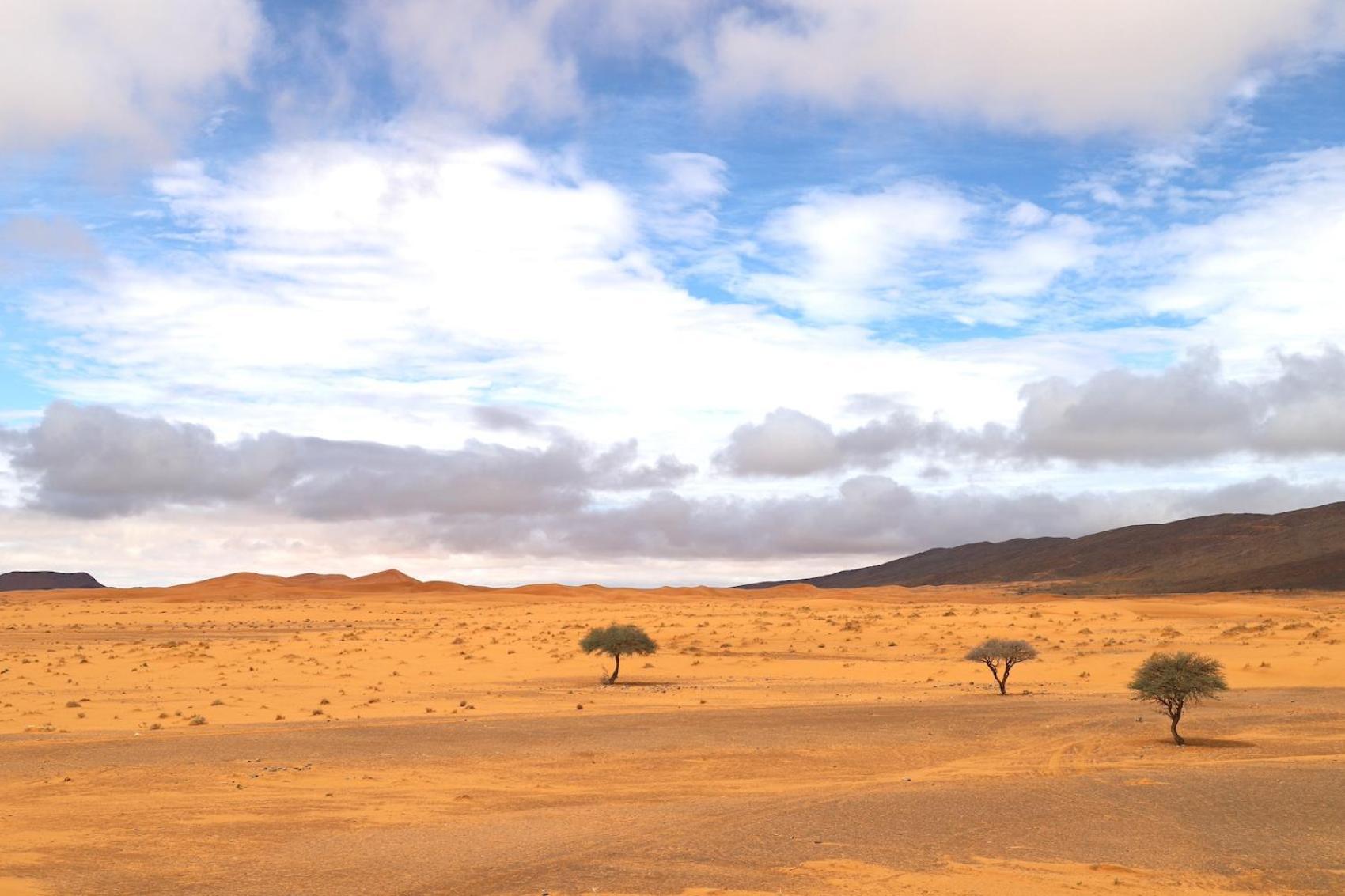 Porte De Sahara Ouzina エクステリア 写真